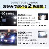 fcl. D1S HID Bulb, White, 6000K, Compatible with Vehicle Inspections,