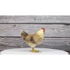 Rustic Western Country Farm Light Brown Chicken Hen Figurine 4.5"
