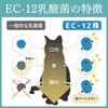 HUGME SHOP Kokona Cat Lactic Acid Bacteria Enzyme Supplement, Highly