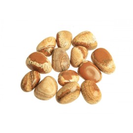 Sacred Essence Picture Jasper Tumblestone 2-3cm - Grounding, Peace, Serenity (Sold Indvidually)