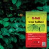 Hi-Yield (34340) Iron Sulfate (3.25 lbs.)