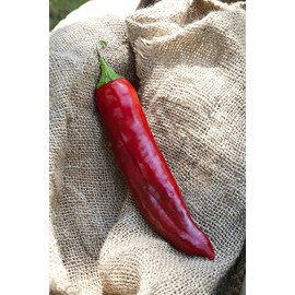 Big Jim Numex New Mexico Hot Pepper Premium Seed Packet + More