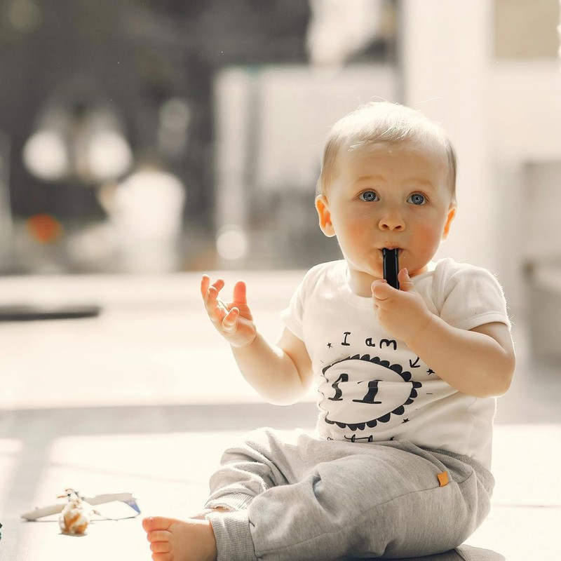 SSHUIKKAI 2 Stück Trillerpfeife Laut Notfall, Signalpfeife, Notfallpfeife, Emergency Whistle,