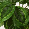 Briful 2 PCS Artificial Potted Alocasia Begonia Calathea Plants Mini
