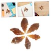 Kisangel Science Classroom Specimen 6pcs Agate Snail Models Educational Ancient