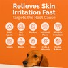 ClearFur Hot Spot & Itch Relief Skin Cream for Dogs