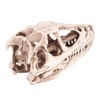 Resin Dinosaur Skull Model Simulated Animal Skeleton Home Office Decor