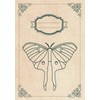 Luna Moth Journal Notebook: Blank Lined Notebook for Writing With