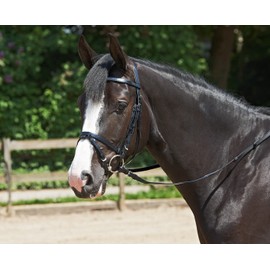 Easy Snaffle for Warmblood High Quality Plastic with Polyester Insert English Combined