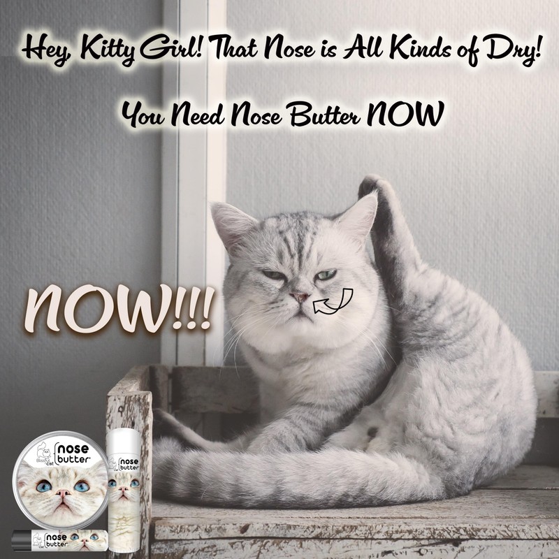 The Blissful Cat Nose Butter, 2-Ounce