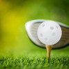 JNALFG Golf Balls Practice Plastic Hollow Balls Lightweight Perforated Training