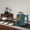 Electric Tea Kettle with Tea Infuser Temperature Control Hot Tea