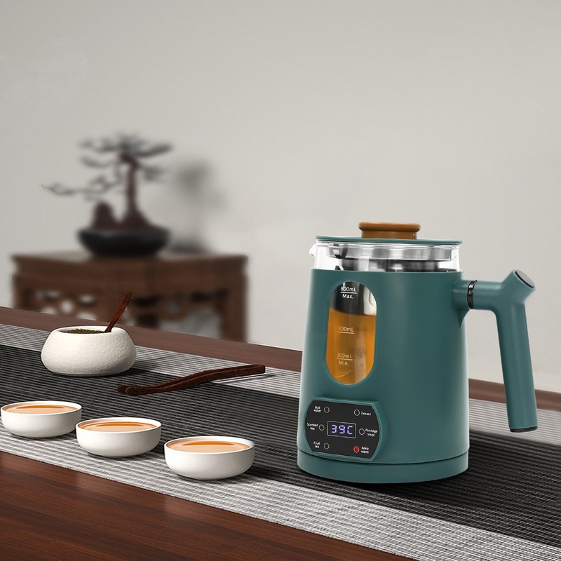 Electric Tea Kettle with Tea Infuser Temperature Control Hot Tea
