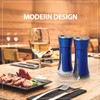 Blue Salt and Pepper Shakers by Aelga, Salt Shaker with