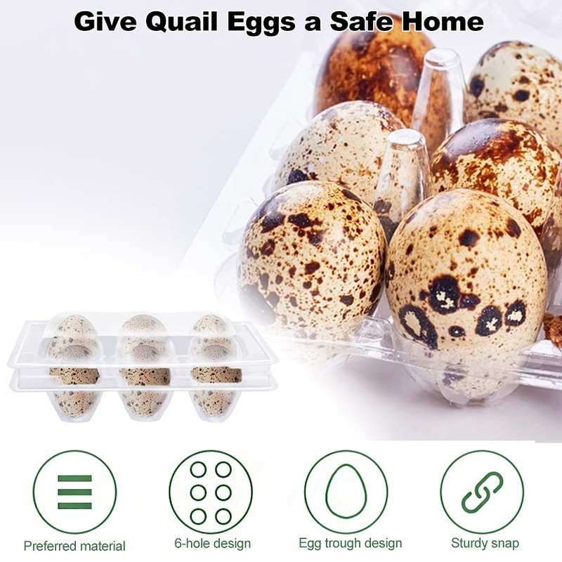 FIGFYOU Pack of 50 Quail Egg Boxes, Egg Boxes, Quail,