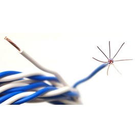 ONKODO Blue y524 Audio Twisted Speaker Cable Each Meter Sold Out (8m)