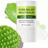 Maxzitank Pore Relief Multi Balm, Cactus Extract Facial Solid Balm,