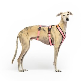 Anti-Pull 3-Point Anti-Escape Harness - Ideal for Lebreles: Italian Greyhound, Whippet, Greyhound, Podenco - Safe, Breathable and Durable Walking, Training and Running - Pink, L