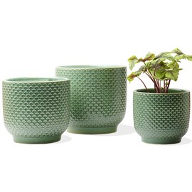 Homephyte 4 + 5 + 6 Inch Ceramic Pots for Indoor Plants, Succulents Plant Pots, Orchid Flower Pot with Drainage Hole, Modern Clay Stoneware Planters, Set of 3 (Green, 4+5+6 Inch)