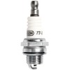 Oregon 77-306-1 Lawn Mower Spark Plugs