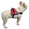 Removable Dog Patches for Vests & Harness - Reflective /