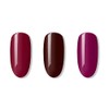 BLUESKY Gel Polish, Gel Nail Polish Set, Winter Warmers, 3