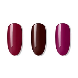 BLUESKY Gel Polish, Gel Nail Polish Set, Winter Warmers, 3 x 5 ml, Dark Red, Red, Brown
