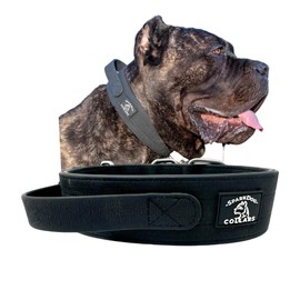 SparkDog Collars WP Working Dog Collar with Handle, Waterproof, Agitation, Dock Diving, Canine Biathlon, Military Tactical Style, Hiking, Adventure, Traffic Control Handle (Black, Handle)