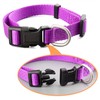 BINCOR Nylon Dog Collar and Leash Set Heavy Duty Breathable