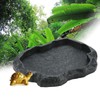 Reptile Feeding Bowl, Terrarium Feeding Bowl in Rock Decoration, Lizard