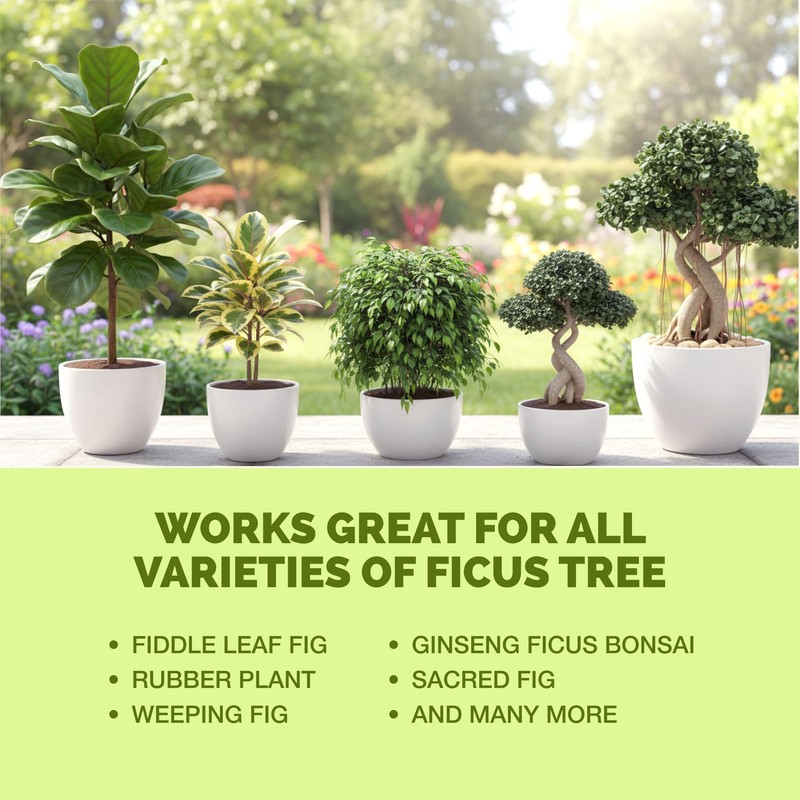 TPS NUTRIENTS Ficus Tree Fertilizer for All Ficus, Fig and