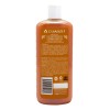 Shampoo Cacahuananche Y Semilla De Uva Cuarzo 550 ml