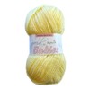 Stylecraft Knitting Yarn/Wool 100g Ball for Knit & Crochet, DK