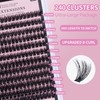 DAMMAN 70D DIY Lash Extension Kit 240 Clusters 0.07 10-16mm