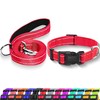 Maiiu Reflective Dog Collar with Safety Locking Buckle, Adjustable Soft