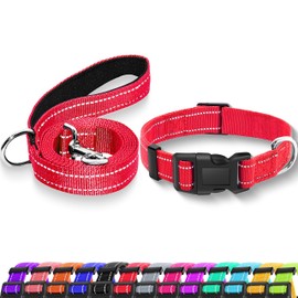 Maiiu Reflective Dog Collar with Safety Locking Buckle, Adjustable Soft Breathable Nylon Collars for Small, Medium and Large Dogs(Collar+Leash XS Width 5/8" Red)