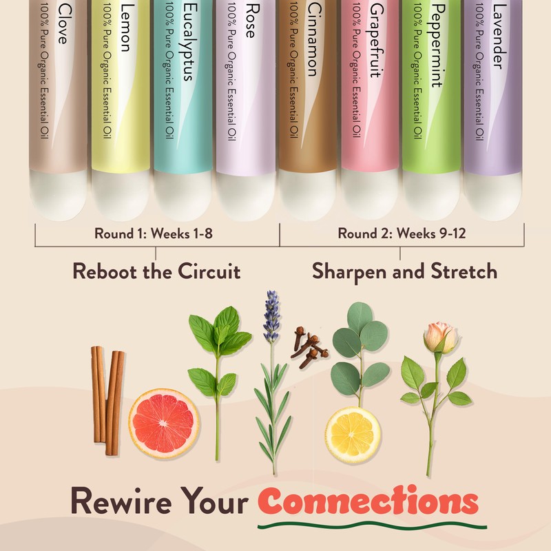 Smell Training Kit, Restore Sense of Smell and Taste, 8