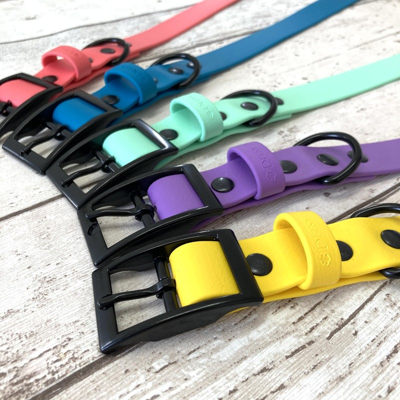 Waterproof Biothane Dog Collar Blue XXS