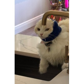 Pet Hoodz for Cats, Anxiety, Grooming, Ear Muffs, Cat Ear Protection, Calming, Ear Compression, Pet Hoodie, Cat Hoodie, Soft-Expandable Fabric for Cats, (Blue, LRG)