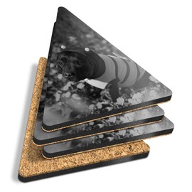4 x Triangle Coasters - BW - Bumblebee Staffy Dog Puppy Cork Backed MDF Glossy Tea Coffee Accessory #41915