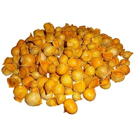 Japanese Garlic (Ajo Japones) 100% Natural!!! 1 LB