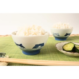 Mino ware Japanese Ceramics Rice Bowl Five Cat Faces White & Blue made in Japan (Japan Import) GBC001