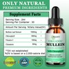 Mullein Drops for Lungs | Powerful Mullein Leaf Extract with