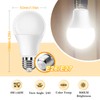 Full Spectrum Light Bulb, 6000K Natural Sunlight Bulbs, 9W 60W
