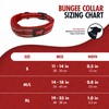Tuff Pupper Heavy Duty Dog Collar with Handle | Ballistic