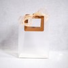 Ribbon & Luxe 12-Pack Boutique/Gift Bags with Square Stitched Handles