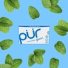 PUR Peppermint Sugar Free Chewing Gum 9 Count Pack Aspartame