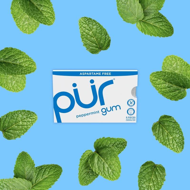 PUR Peppermint Sugar Free Chewing Gum 9 Count Pack Aspartame