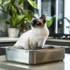 Stainless Steel Cat Litter Box for Big Cats,Small Stainless Steel