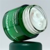 Innisfree [이니스프리]그린티 세라마이드 크림 80ml (튜브) Innisfree Green Tea Ceramide